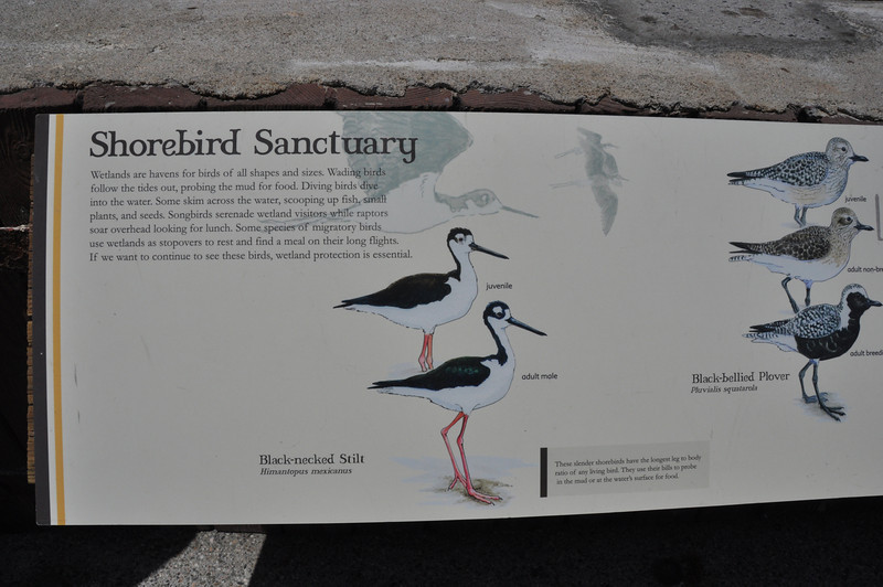 600363400_bfLm7-L.jpg