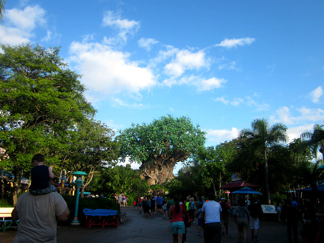 12129103455_2a3e6933e5_z.jpg