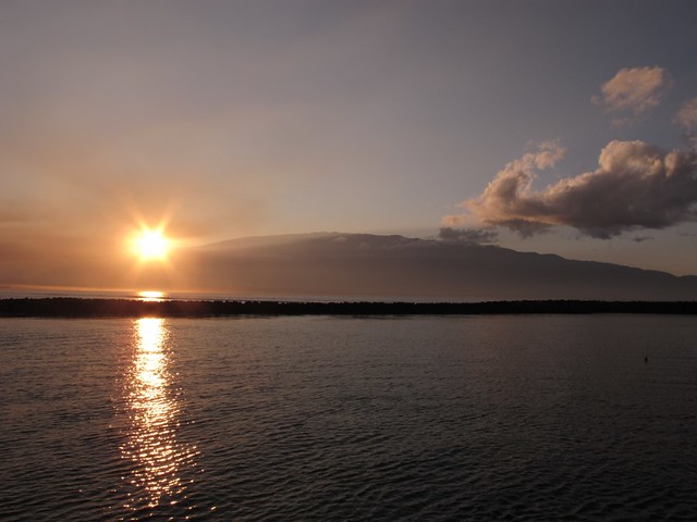8156540745_44ca143673_z.jpg