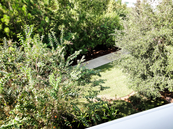 p249439661-3.jpg