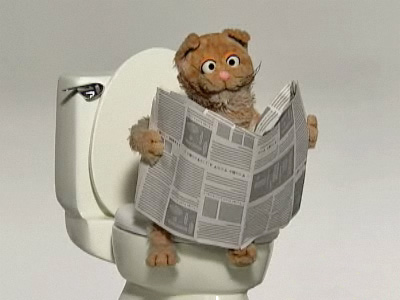 Cat-toilet.jpg