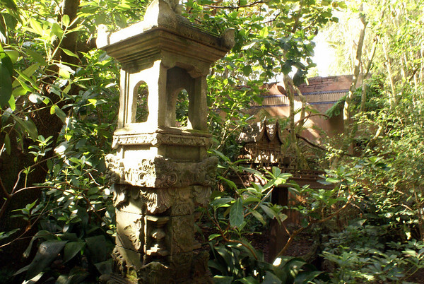 411648877_gwr76-M.jpg