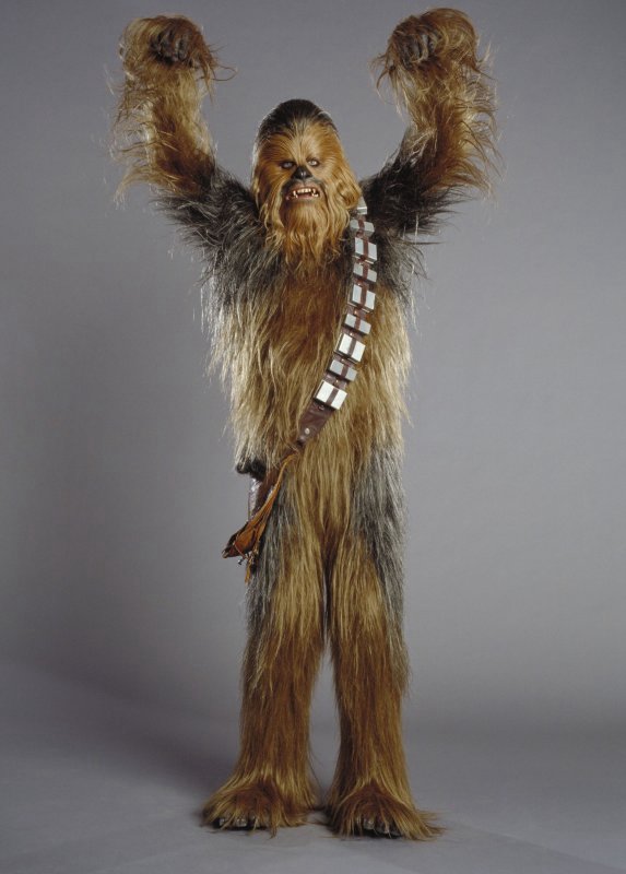 wookie-736962.jpg
