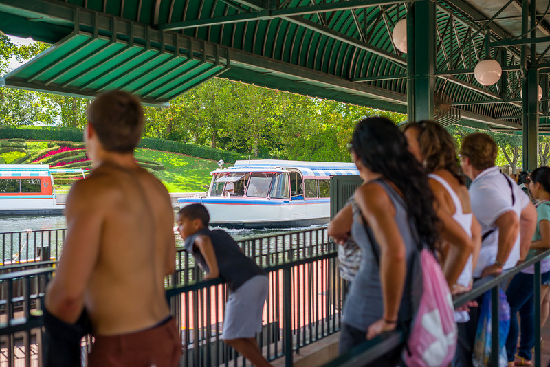 DSC_0896-L.jpg