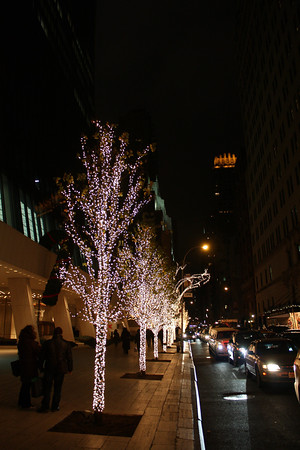 1122434402_L4r6q-M.jpg