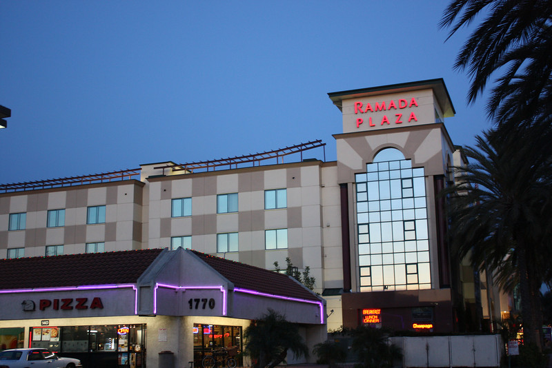 IMG0360-L.jpg
