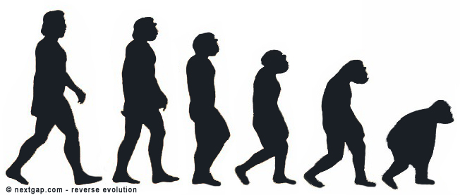 evolution.jpg