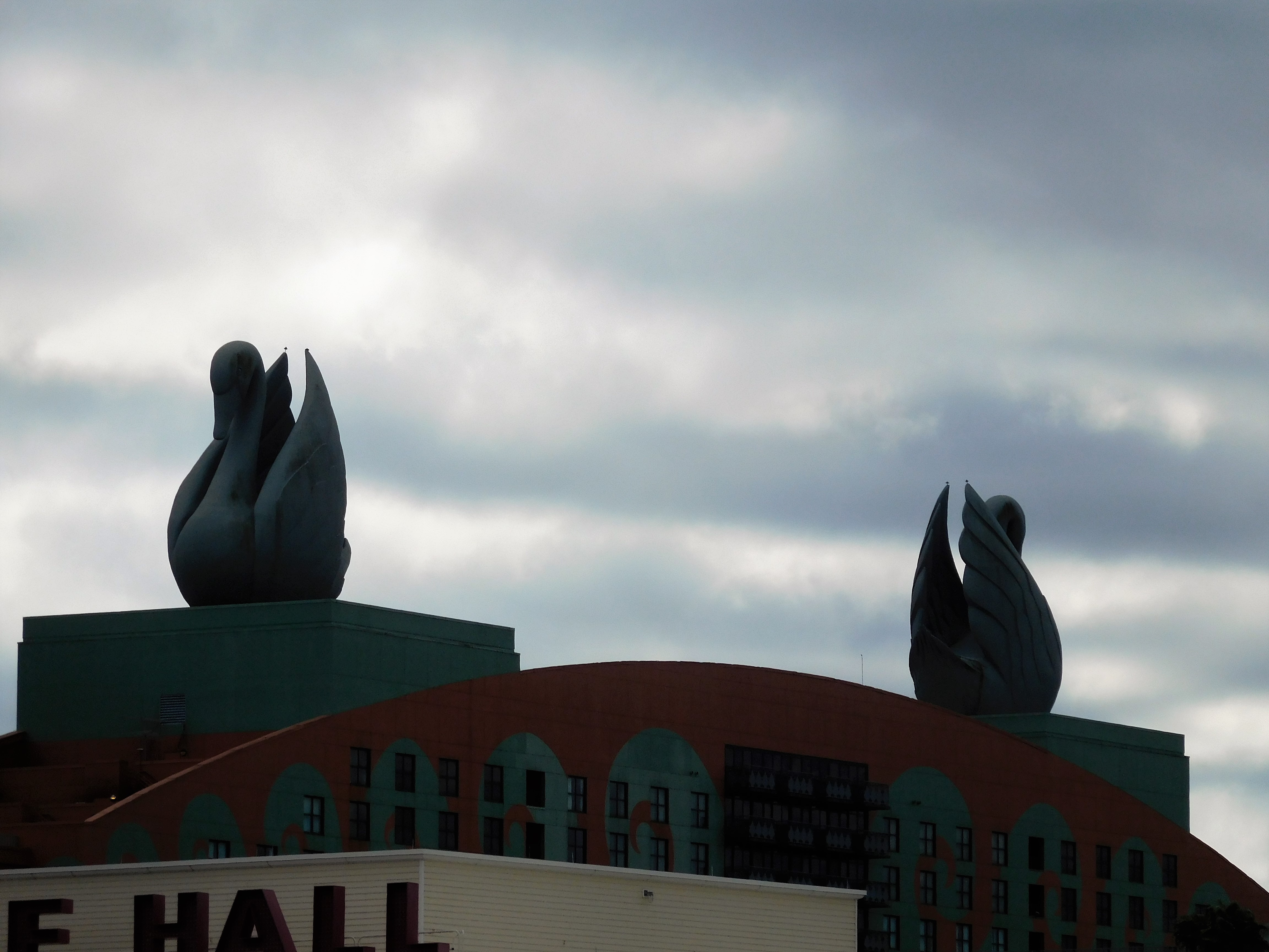 DSCN4565.jpg