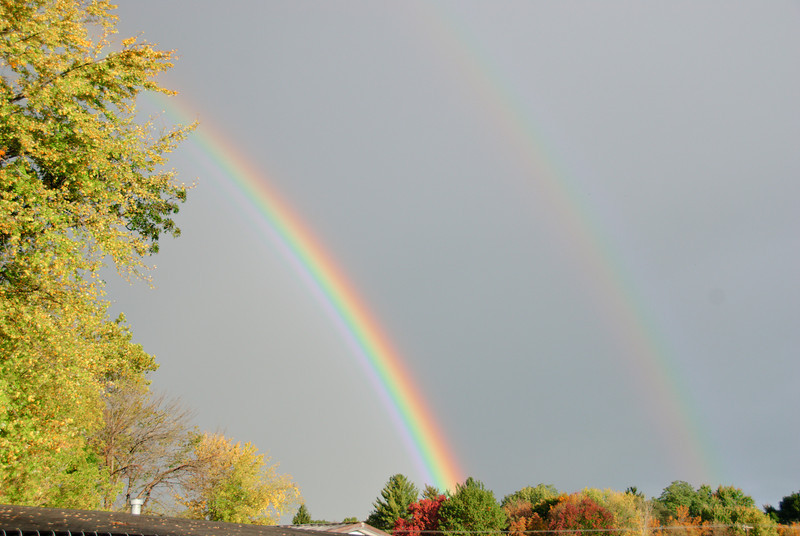 410719755_aS77Z-L.jpg