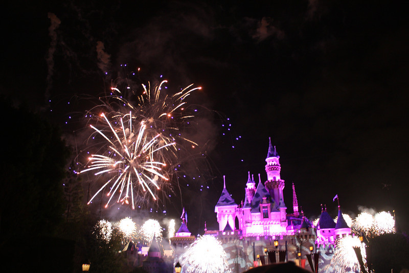 IMG2690-L.jpg