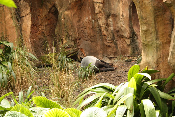 499826781_iRxFq-M.jpg
