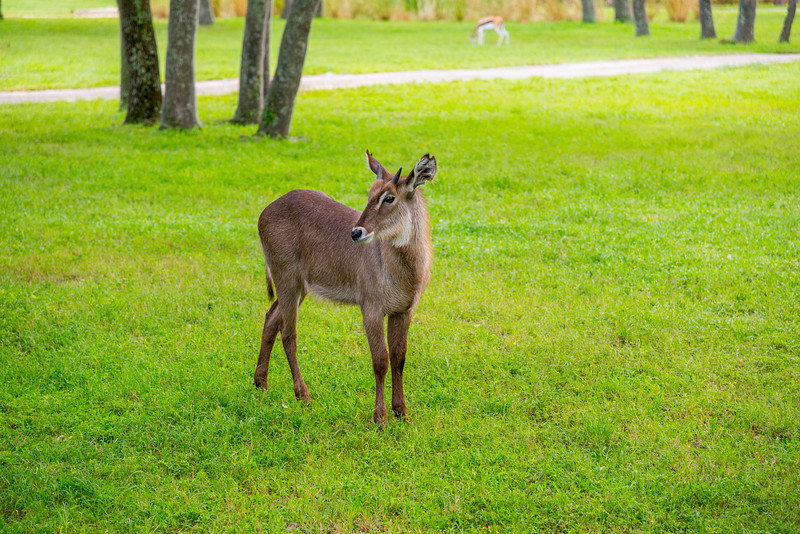DSC_2008-L.jpg