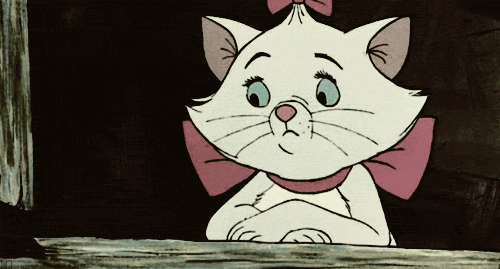 tumblr_m1tdfloZQh1rodq3do1_500.gif