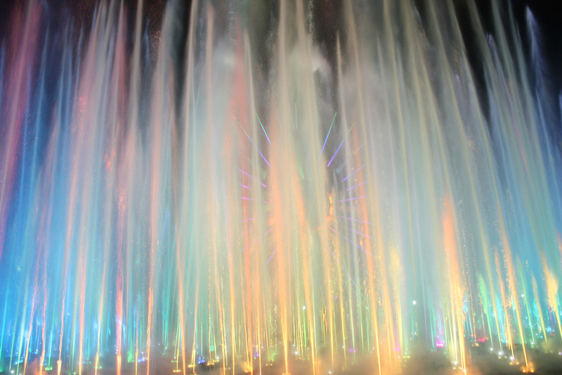 IMG0619-L.jpg