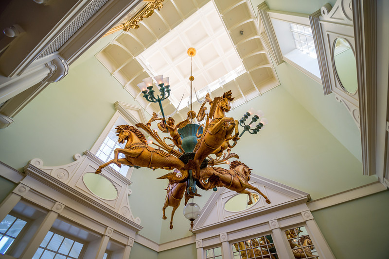 DSC_5835-L.jpg