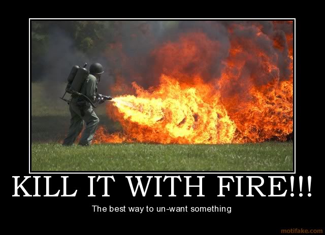 Kill-it-with-fire.jpg