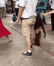 giphy.gif