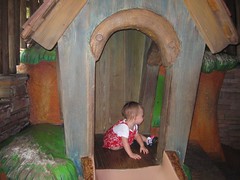 1374086164_a80b5906e4_m.jpg