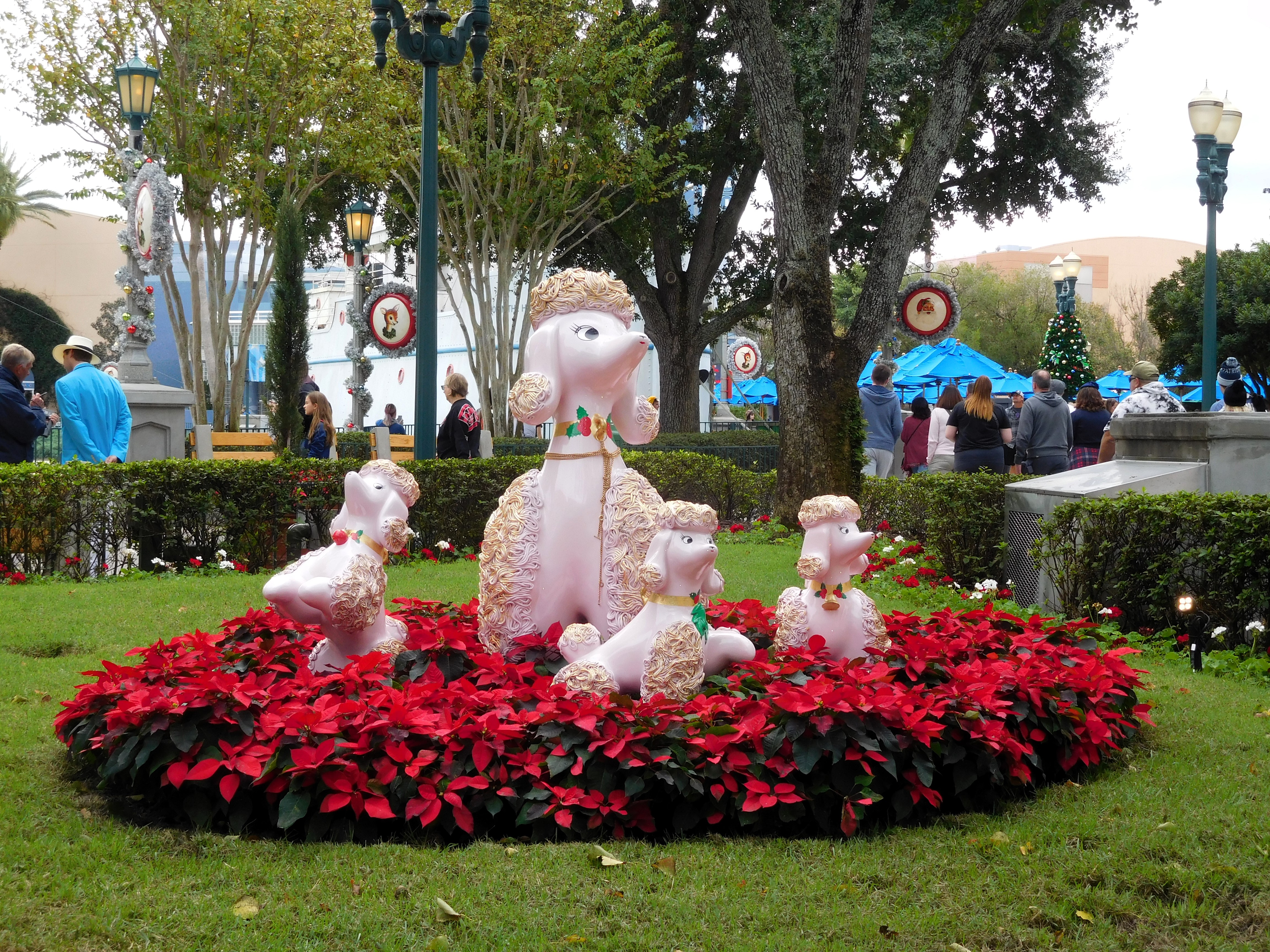 DSCN4529.jpg