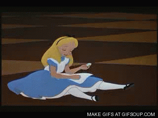 giphy.gif