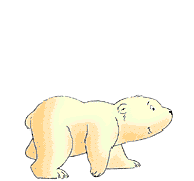 polarbearcub.gif