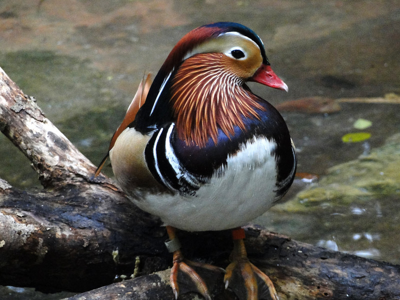 735081726_vSXvV-L.jpg