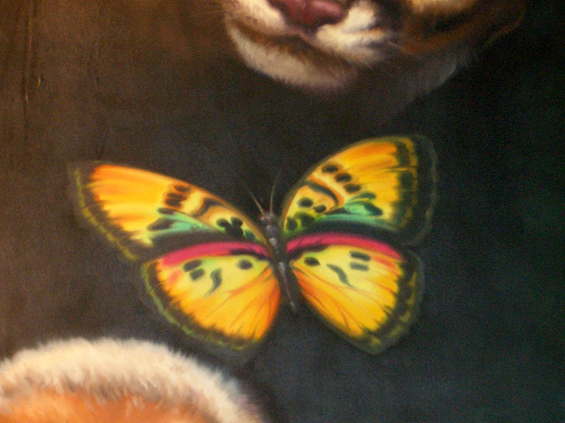 69084525.jpg