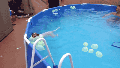giphy.gif
