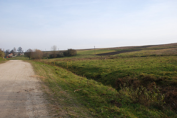 1074504939_DRDz4-M.jpg