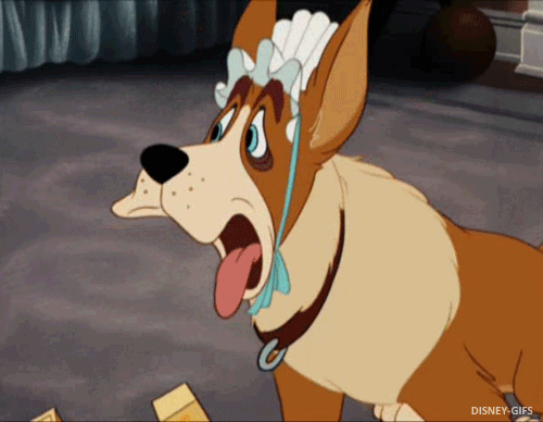 tumblr_lk6w1ofHi81qg64aho1_500.gif