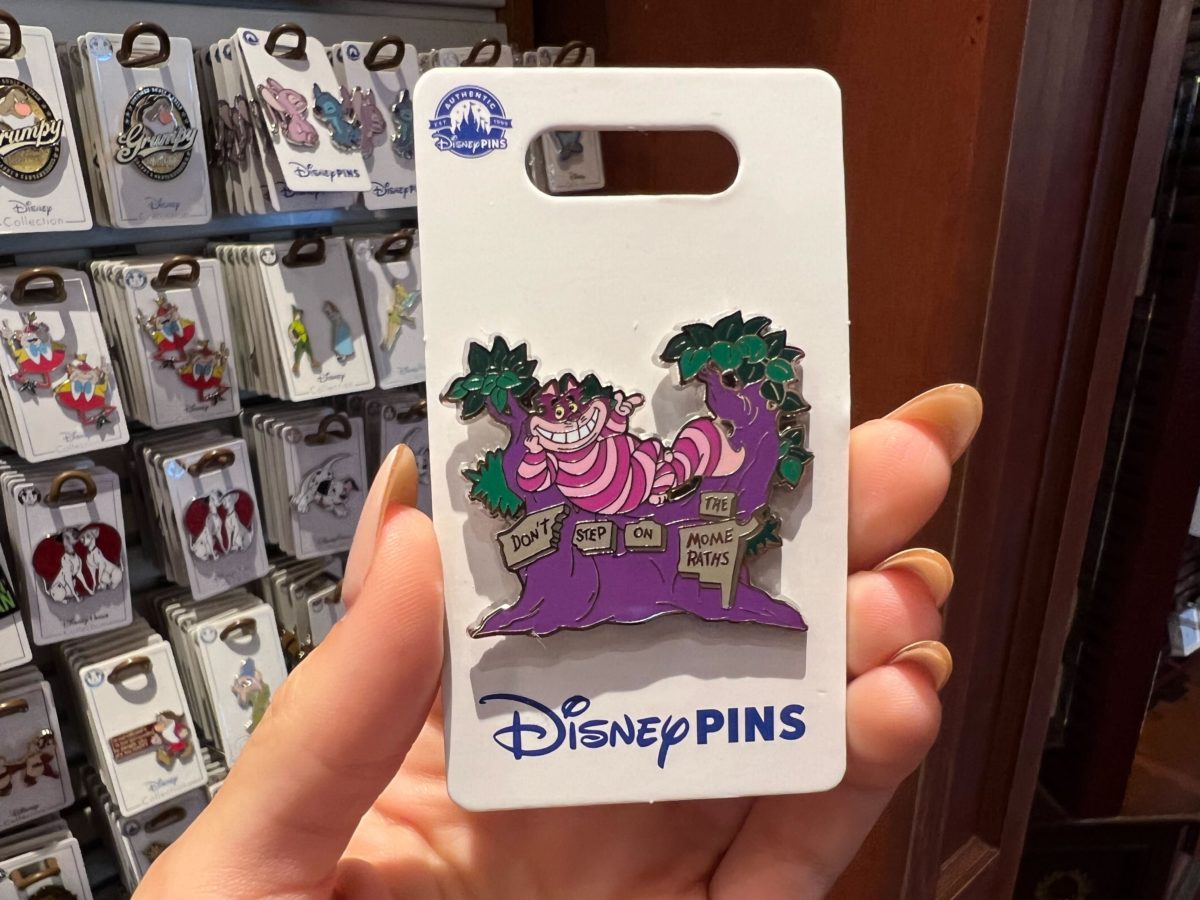 wdw-pins-8-1200x900.jpg