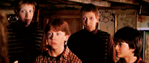 tumblr_lru1qkyiVk1qhk4kbo2_500.gif