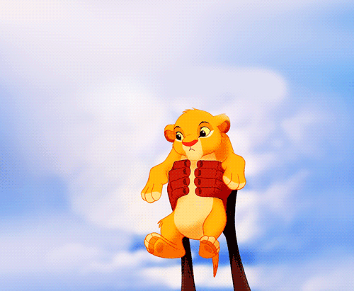 tumblr_m1qkq1un4S1r49bh7o1_500.gif