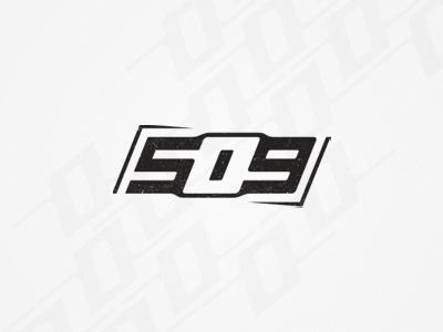 509.png