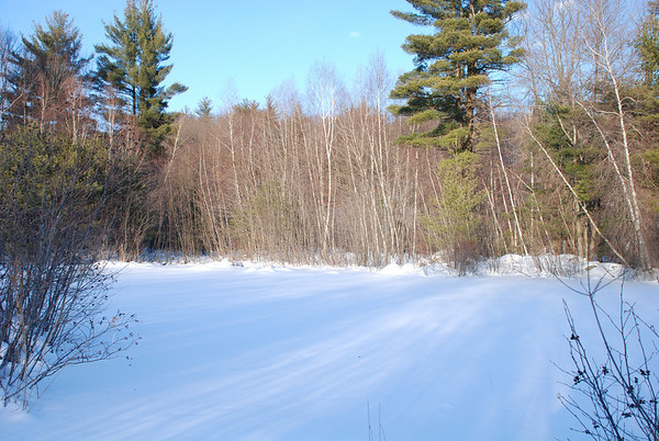 464050685_BfSaT-M.jpg