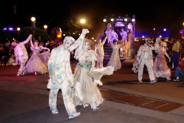 DSC6379-M.jpg