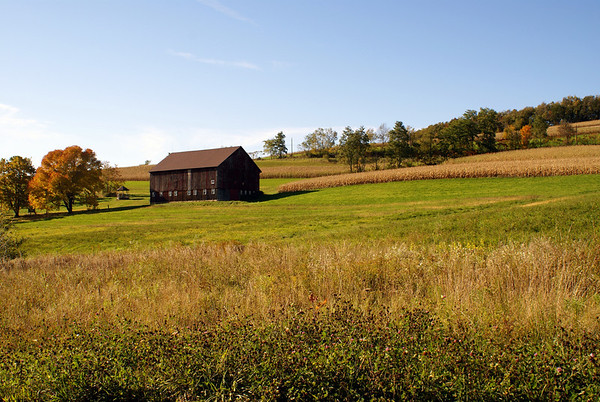 392550746_hcCQ9-M.jpg