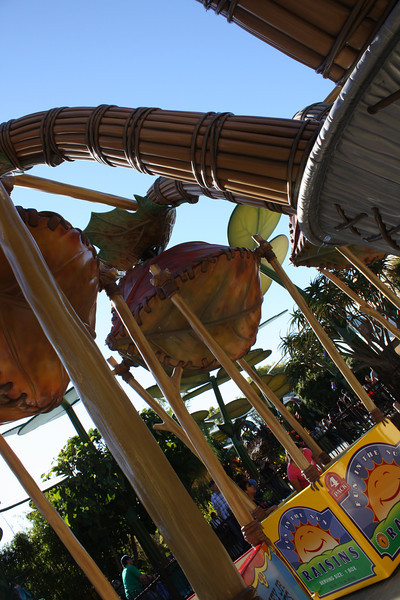 IMG0183-L.jpg