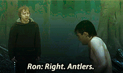 tumblr_lsa3enm6AO1qb9qh4o6_250.gif