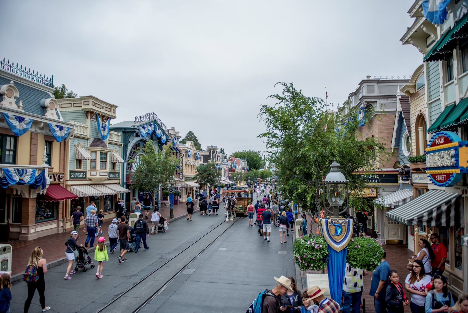 DSC_3691%20(Large).jpg