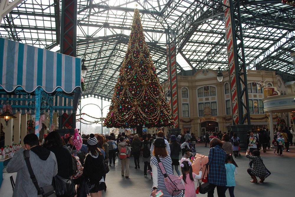 DSC_0116-vi.jpg