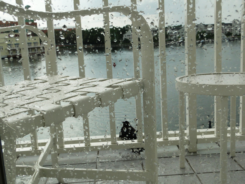 1197701337_bnzHw-L.jpg