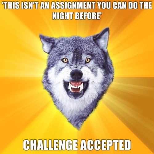 tumblr_la6qatCuzS1qcnx3go1_500.jpg