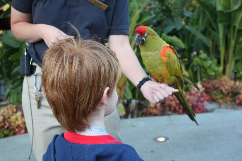 IMG9454-L.jpg