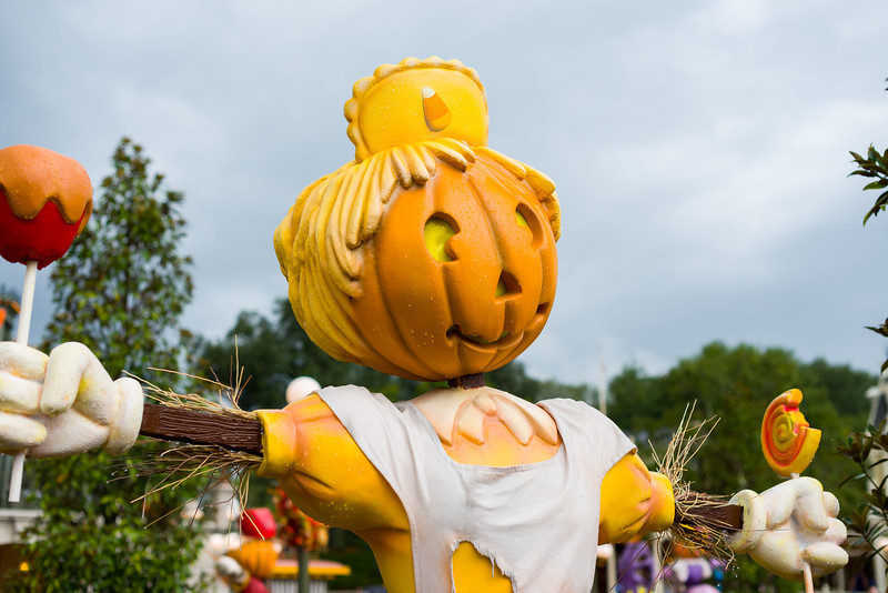 DSC_1259-L.jpg