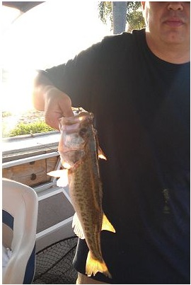 fishin1.jpg