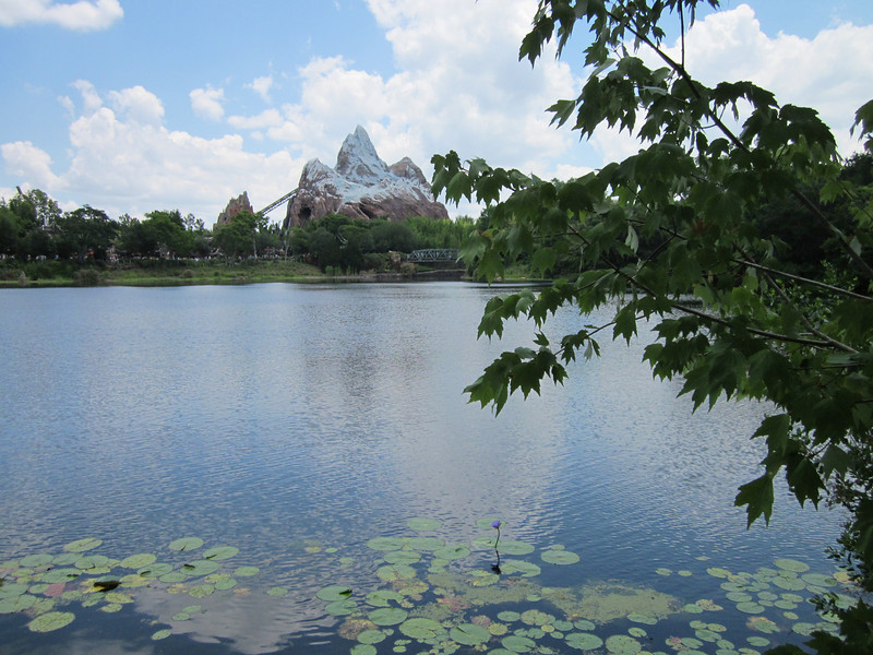 IMG0202-L.jpg
