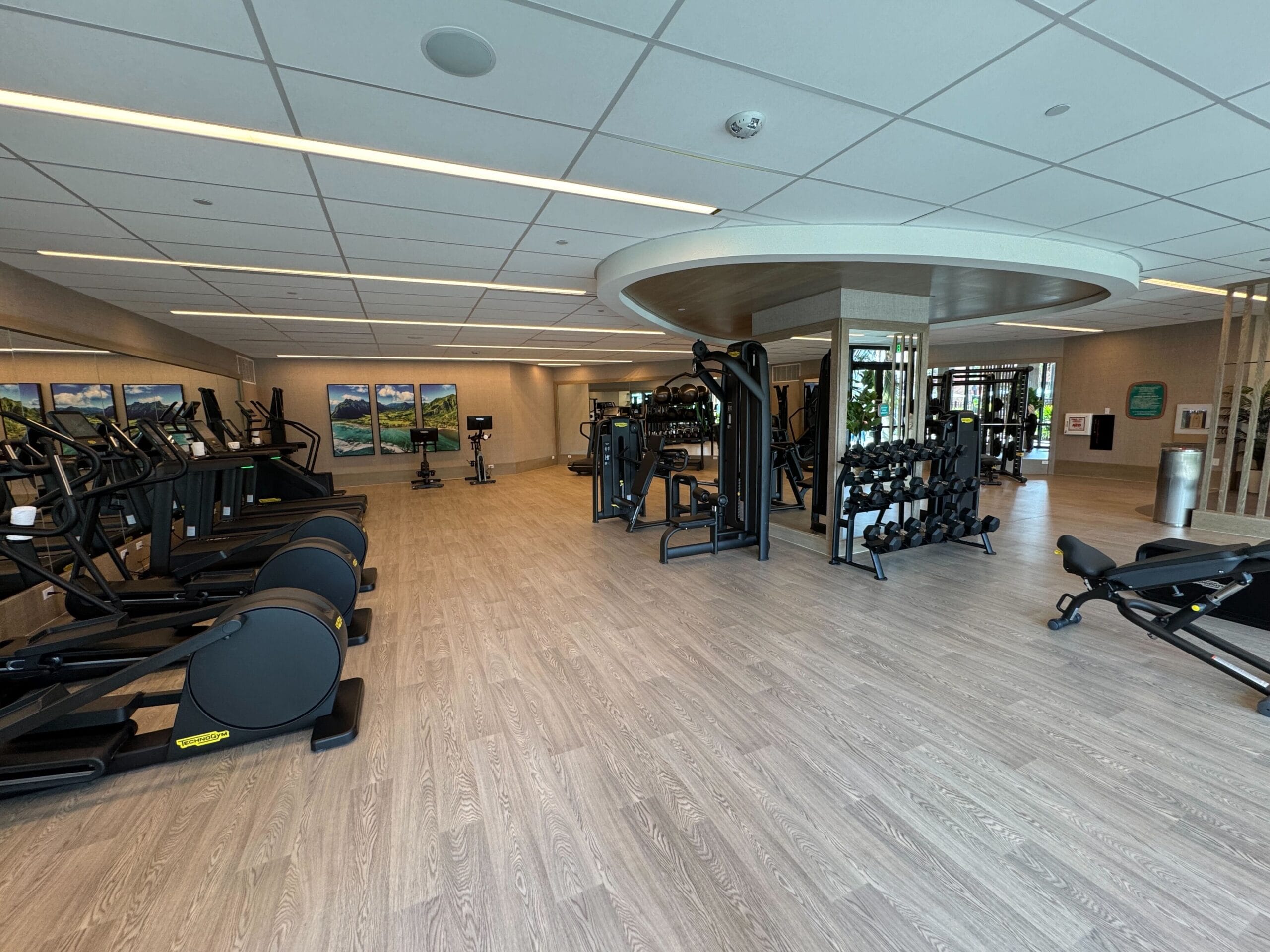 Modern gym with various exercise machines, including treadmills and weights, on a wood-patterned floor. Walls feature landscape artwork and large windows provide natural light.