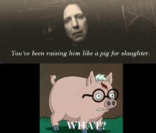 tumblr_lq6k5jQIiY1qgsmweo1_500.png