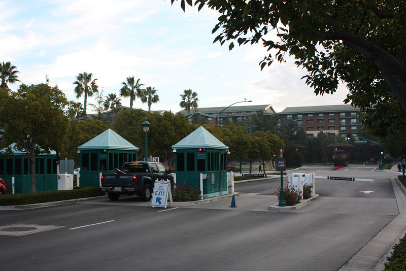 IMG9077-L.jpg